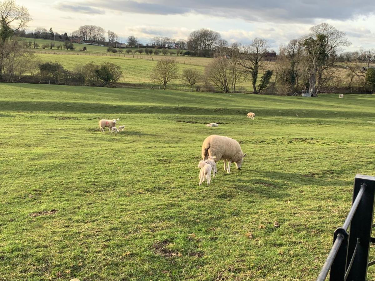 Weatherhead Farm Shepherds Hut Villa Buckingham Exterior foto