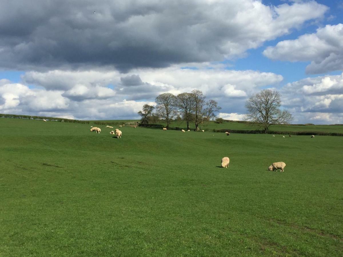 Weatherhead Farm Shepherds Hut Villa Buckingham Exterior foto